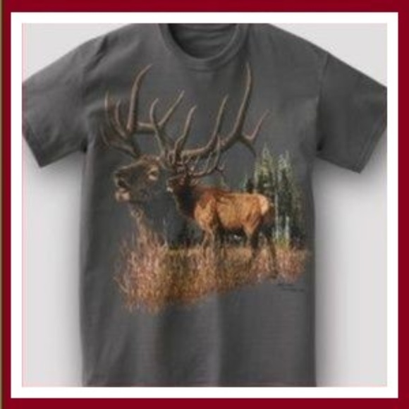 Wildlife Adventure Tees(M) - Picture 3 of 3
